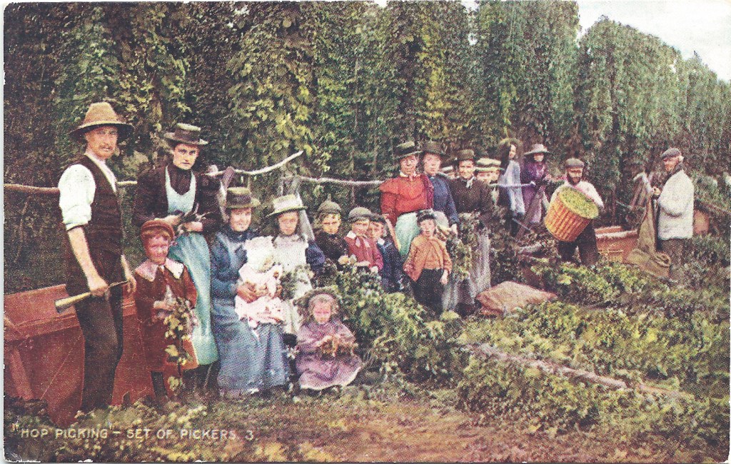 Hop picking in&nbsp;Kent